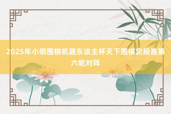 2025年小明围棋机器东谈主杯天下围棋定段赛第六轮对阵