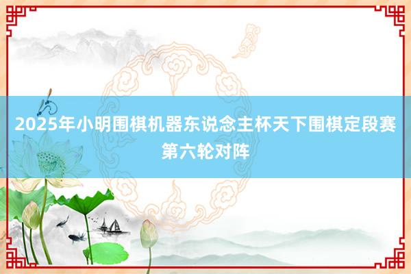 2025年小明围棋机器东说念主杯天下围棋定段赛第六轮对阵