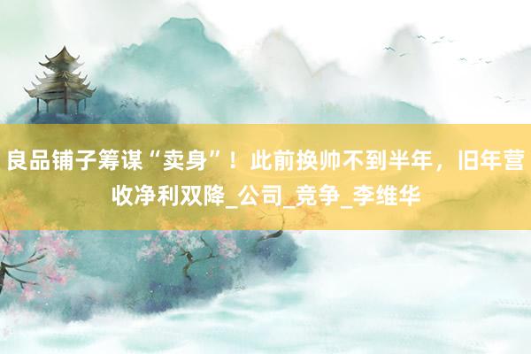 良品铺子筹谋“卖身”！此前换帅不到半年，旧年营收净利双降_公司_竞争_李维华