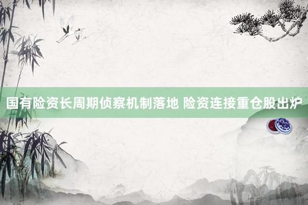 国有险资长周期侦察机制落地 险资连接重仓股出炉