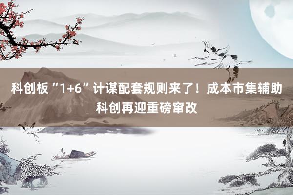 科创板“1+6”计谋配套规则来了！成本市集辅助科创再迎重磅窜改