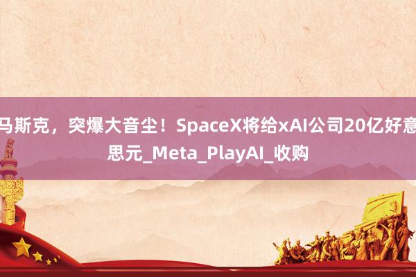 马斯克，突爆大音尘！SpaceX将给xAI公司20亿好意思元_Meta_PlayAI_收购