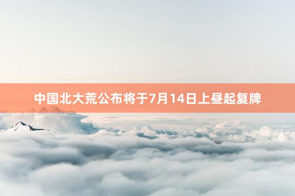 中国北大荒公布将于7月14日上昼起复牌