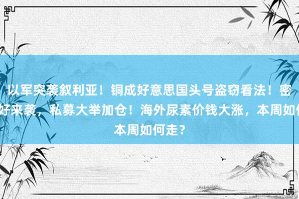 以军突袭叙利亚！铜成好意思国头号盗窃看法！密集利好来袭，私募大举加仓！海外尿素价钱大涨，本周如何走？