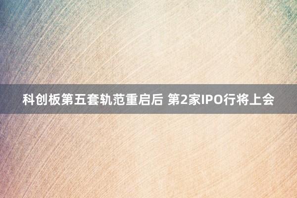 科创板第五套轨范重启后 第2家IPO行将上会