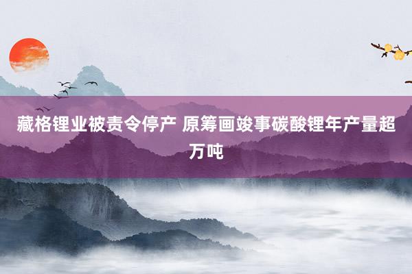 藏格锂业被责令停产 原筹画竣事碳酸锂年产量超万吨