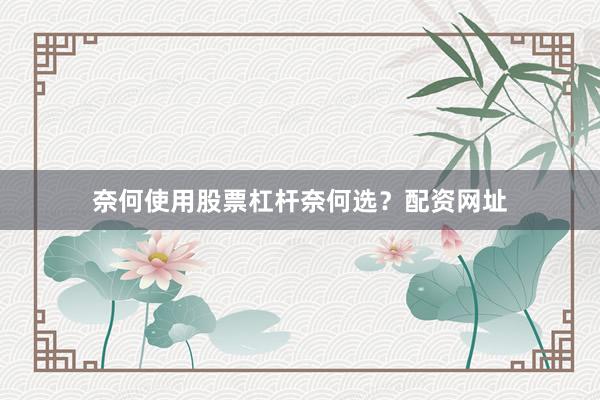 奈何使用股票杠杆奈何选？配资网址