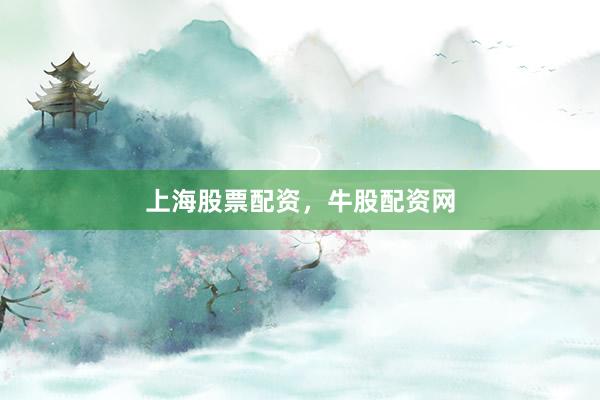 上海股票配资，牛股配资网