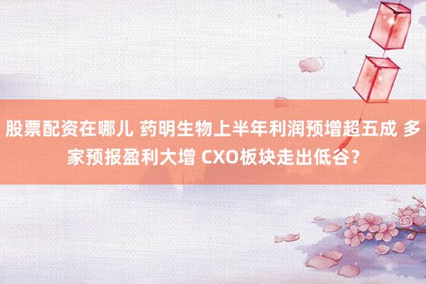股票配资在哪儿 药明生物上半年利润预增超五成 多家预报盈利大增 CXO板块走出低谷？