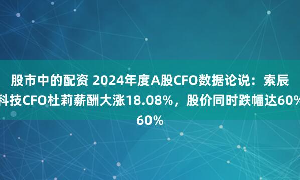 股市中的配资 2024年度A股CFO数据论说：索辰科技CFO杜莉薪酬大涨18.08%，股价同时跌幅达60%