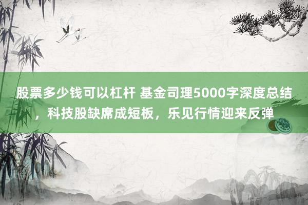 股票多少钱可以杠杆 基金司理5000字深度总结，科技股缺席成短板，乐见行情迎来反弹