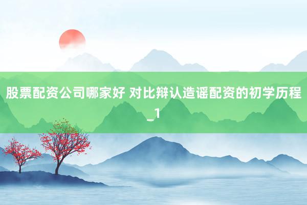 股票配资公司哪家好 对比辩认造谣配资的初学历程_1