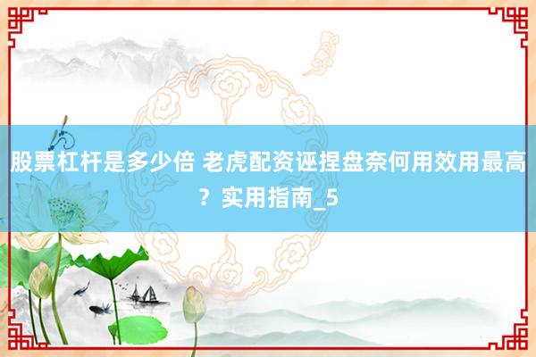 股票杠杆是多少倍 老虎配资诬捏盘奈何用效用最高？实用指南_5